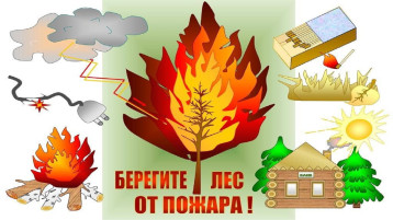 " Огонь в лесу -не шутка" " Огонь в лесу -не шутка".