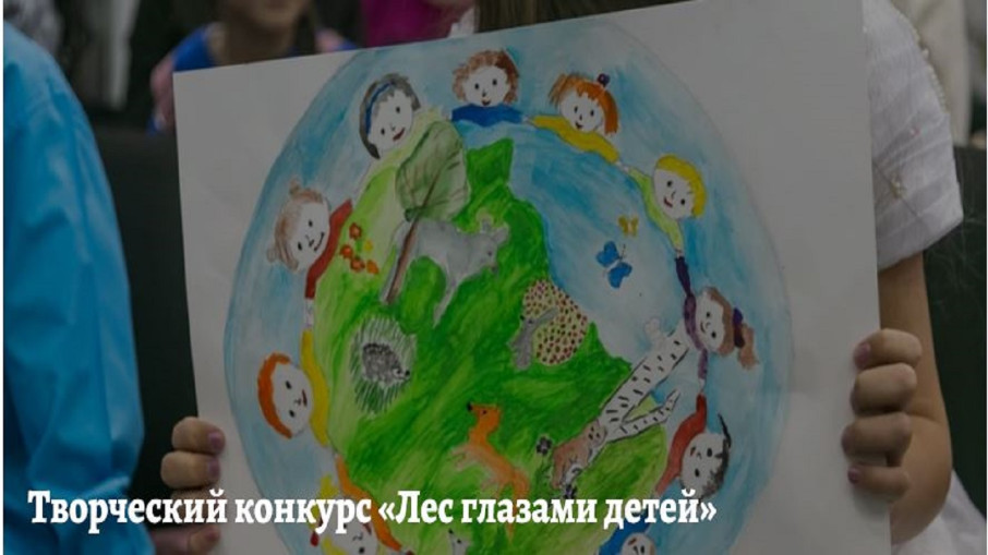 Краевой конкурс "Лес глазами детей " Краевой конкурс "Лес глазами детей ".